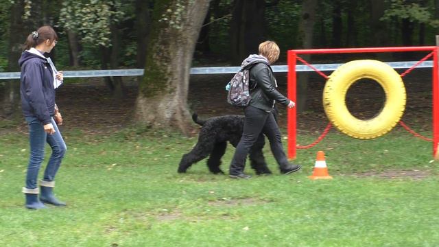 Чемпионат НКП 