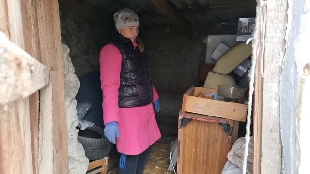 Завести курочек? Сначала нужно расчистить сарай! смотреть онлайн