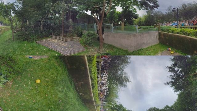 360°, Chengdu Panda Base, China, 8K aerial video смотреть онлайн