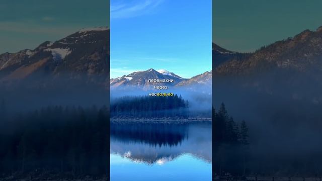 Выше головы не прыгай.... #мысли #мудрость #рекомендации смотреть онлайн