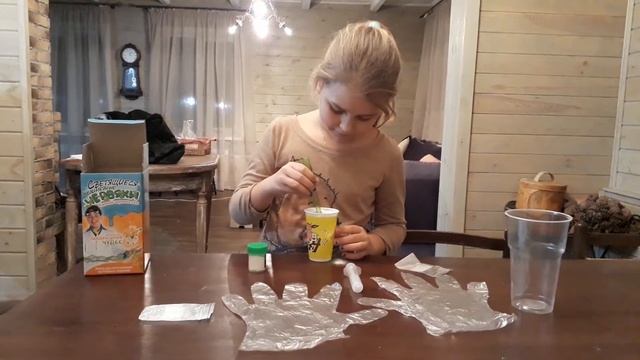 Делаем опыт "Светящиеся червячки" ч. 1 смотреть онлайн