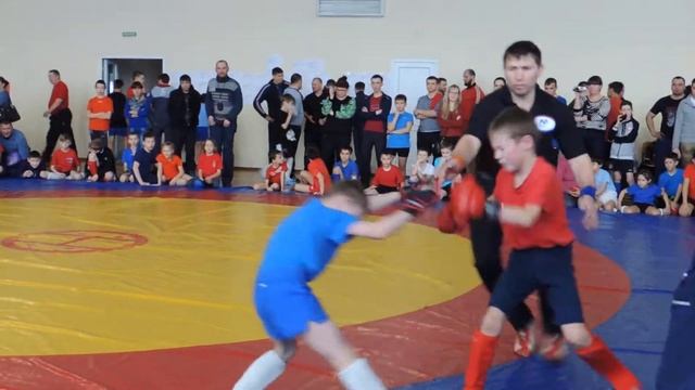 Чемпионат Чувашии по борьбе панкратион. Мариинский Посад. 2017