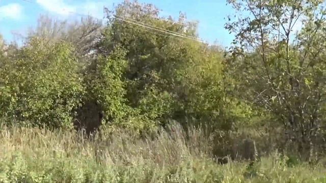 31 Горный Хутор 01 10 2021 смотреть онлайн