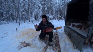 Заготовка дров на зиму. Пилю Бензопилой Хусхварна 340.