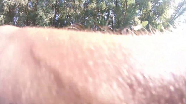 Что ловить в летнюю жару? Голавли на воблеры жарким летом. Рыбалка сплавом по Десне. смотреть онлайн