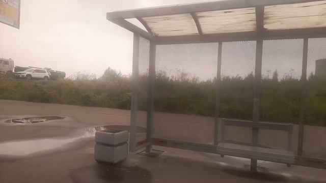 Автобус 203. Ст. м. Проспект Ветеранов - Ж/Д ст. Лигово смотреть онлайн