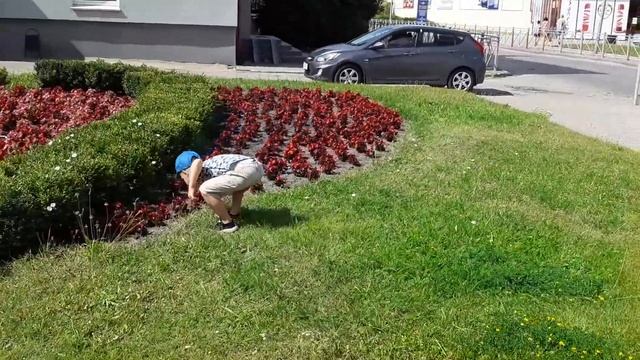 Прогулка по городу Черняховск. смотреть онлайн