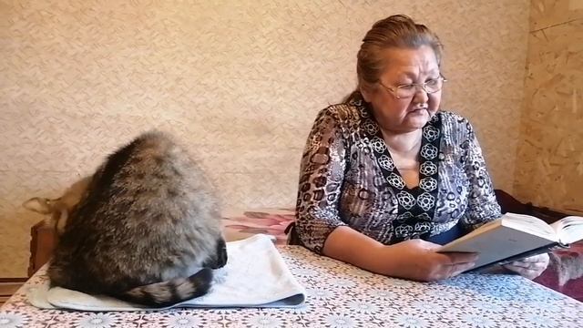 Часть 54. Екатерина II. "Со своих яиц шерсти настричь" смотреть онлайн