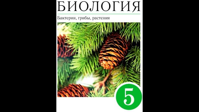 § 17 Разнообразие, распространение, значение растений смотреть онлайн