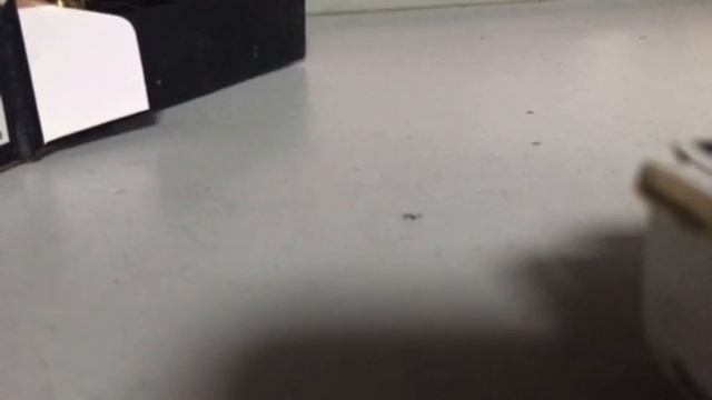 Shooting Upgraded H&K VP9SK with Lobos Trigger смотреть онлайн