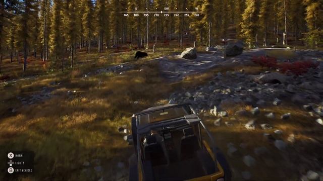 Way of The Hunter Black Bears Location - Where To Hunt Black Bears смотреть онлайн