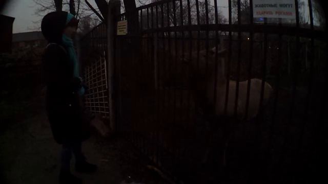 Катя и Благородный Олень смотреть онлайн