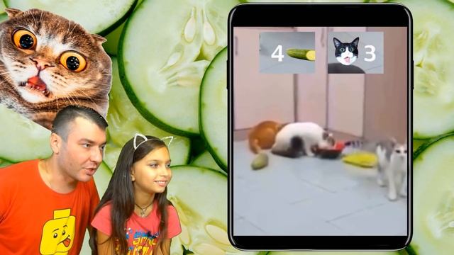 КОТЫ vs ОГУРЦЫ! НЕ ЗАСМЕЙСЯ ЧЕЛЛЕНДЖ с КОТАМИ Попробуй не засмеяться Валеришка Cats vs Cucumbers смотреть онлайн