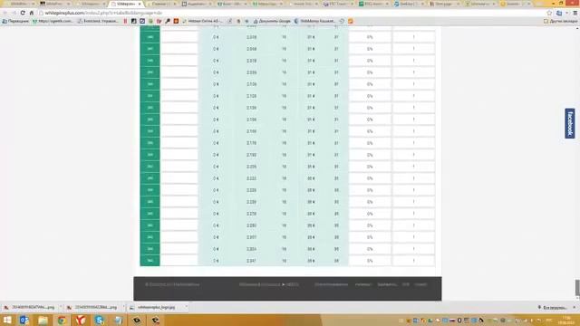 WhitePins+ о компании, стратегия, расчет прибыли смотреть онлайн