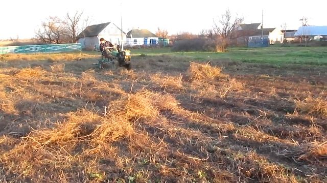 Идеи для украшения дома