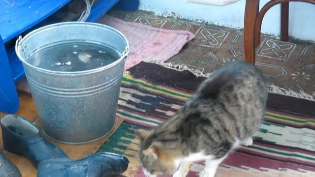 Рыболовля (майтер клас) смотреть онлайн