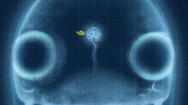 Rabbids Invasion Season 4 ??A Sub Inside The Rabbid ??HD- New смотреть онлайн