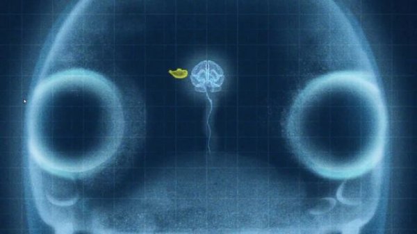 Rabbids Invasion Season 4 ??A Sub Inside The Rabbid ??HD- New