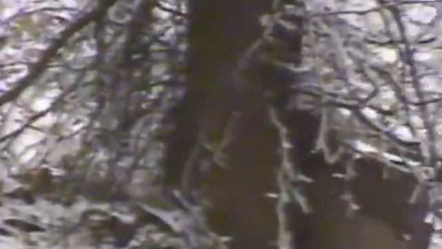 Настоящая война(Дагестан-Чечня) смотреть онлайн