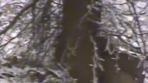 Настоящая война(Дагестан-Чечня)