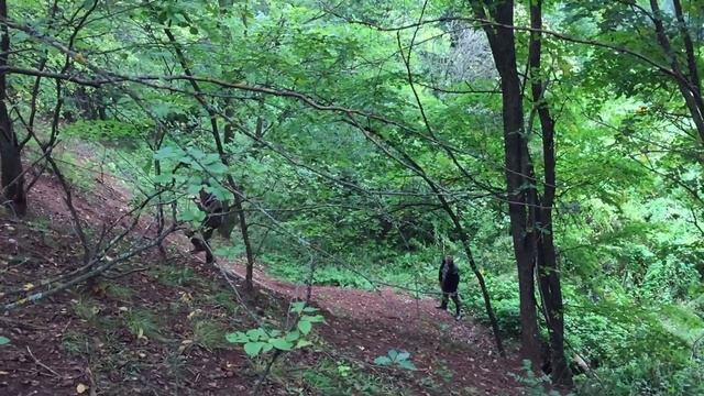 Дневной поход на лодке по реке Вятка ( Никульчино, обход косы, наконечник копья , Боровица, рыбалка смотреть онлайн