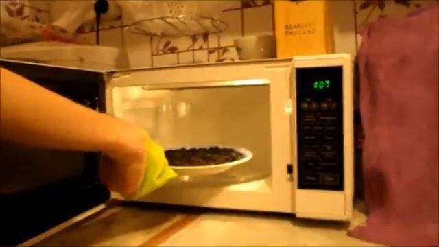 Как жарить семечки в микроволновке смотреть онлайн