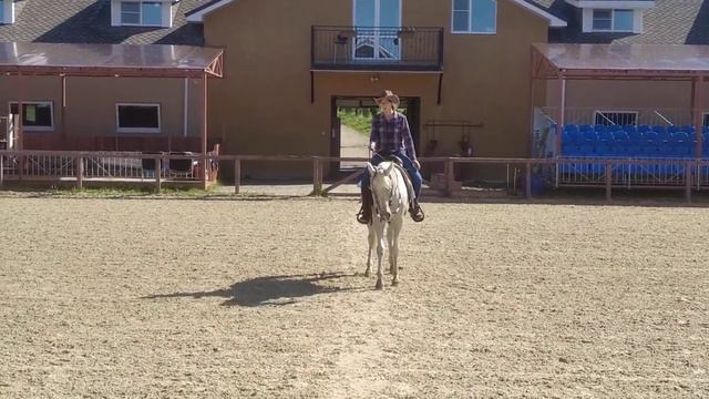 302 Алексанова Мария / Пламенная / CRN Green Reining смотреть онлайн