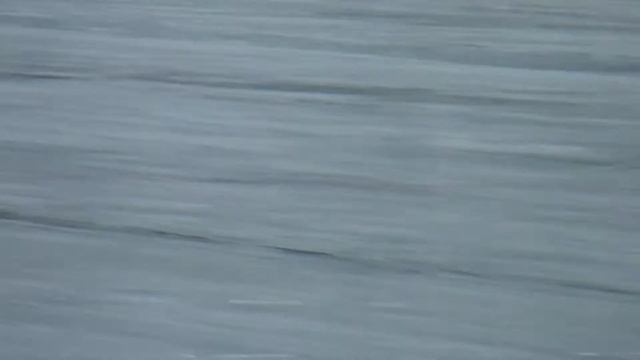 Качество ледового покрытия на стадионе Зоркий Красногорск на 15.03.2014 смотреть онлайн