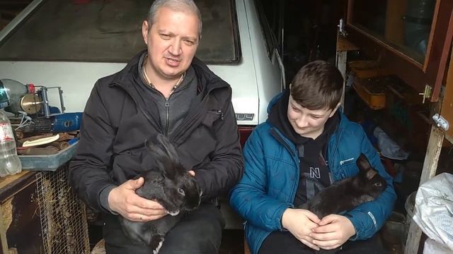 176/ Комбикорм купил и кролики продолжают набирать вес. смотреть онлайн