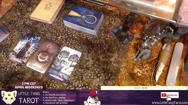 Reading Stream + Oracle of the Nile Flip Through смотреть онлайн