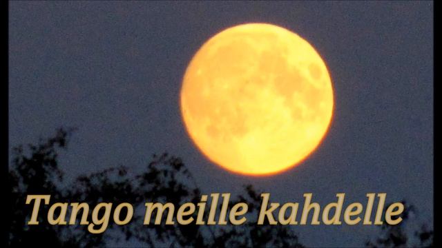 Mauri Talvitie - Tango meille kahdelle смотреть онлайн