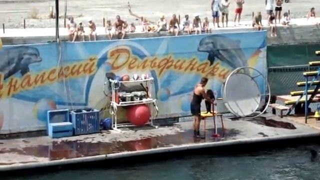 Анапский дельфинарий. Поет морской котик
