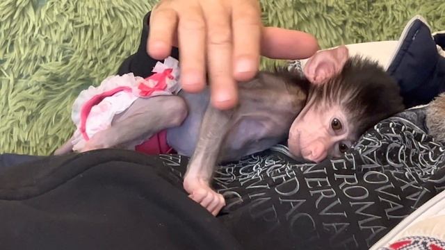 Влад лег поспать, но Степашка УМНЫЙ, он знает как не дать папе спать))) смотреть онлайн