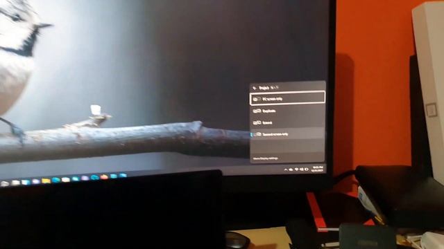 How to Connect Monitor to Laptop Windows 11 смотреть онлайн