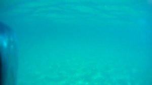 Вьетнам. Нячанг. Красивый пляж Зоклет(доклет) это лучший пляж Нячанга