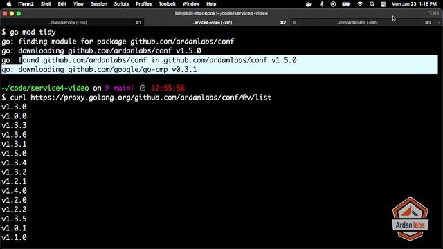 Go Web Services with Kubernetes: What is a Module Mirror? смотреть онлайн