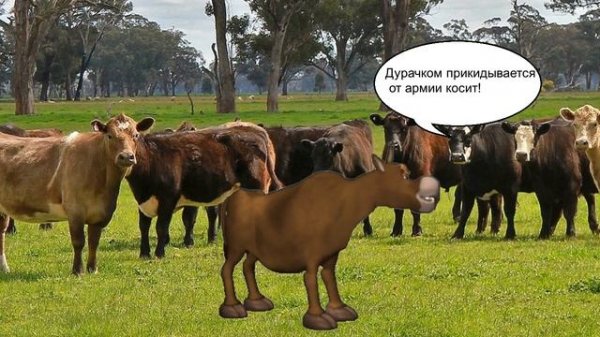 Бык тупогуб  (скороговорка) Бык на расслабоне)) Прикол смотреть всем!!!