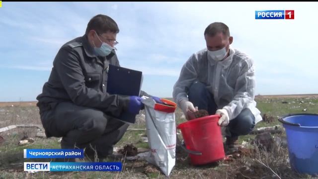В Астраханской области Россельхознадзор обнаружил незаконную свалку на площади 1.mp4 смотреть онлайн