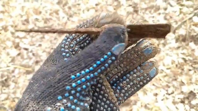 ЗНАХІДКИ ТАЄМНИЧОГО ЛІСУ!!! КОП З XP DEUS ТА QUEST Q30 2023!!! смотреть онлайн