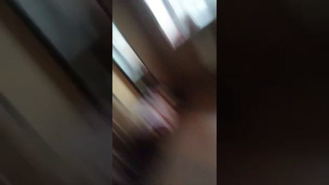 я у Лизы дома капец с кем ана дружба! 🙉🙉🙉🙉🙉ей не повезло самной•~• смотреть онлайн