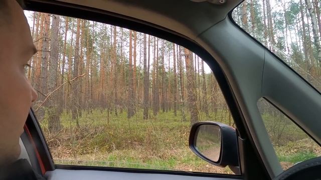 Есть ли среди этих дачных участков что-то стоящее? Печки лавочки VLOG смотреть онлайн