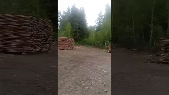 Егоровка. Пилорама смотреть онлайн