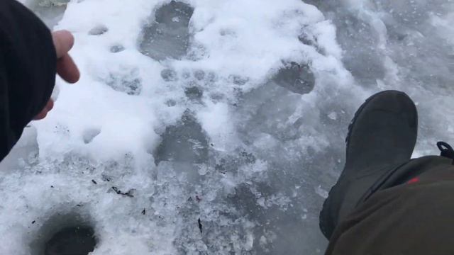 окунь на карюлю с этой приманкой без окуня не останешься смотреть онлайн