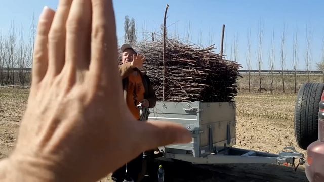 Прицеп, груз, убирать, Поле - Русский Жестовый Язык. deaf смотреть онлайн