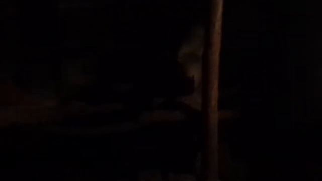 О курах Вступление смотреть онлайн