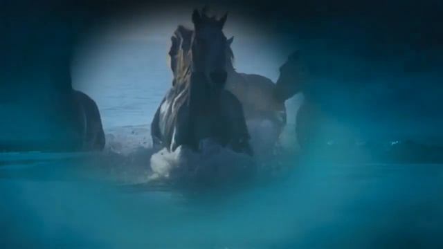 Ах эти кони - Сергей Чернышев смотреть онлайн