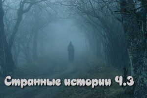 Странные истории 3 часть