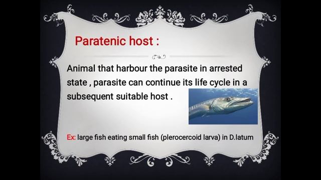 Types of host смотреть онлайн