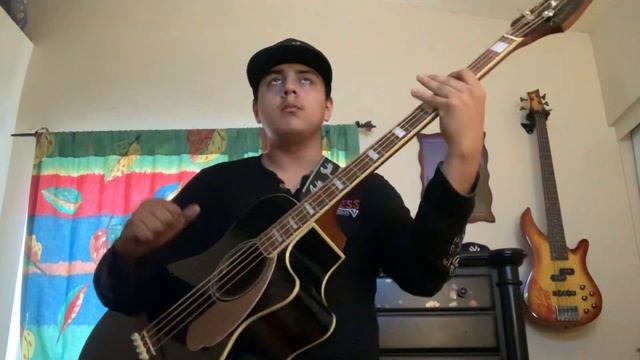 Herencia De Patrones - Intro - (Bajoloche Cover) смотреть онлайн