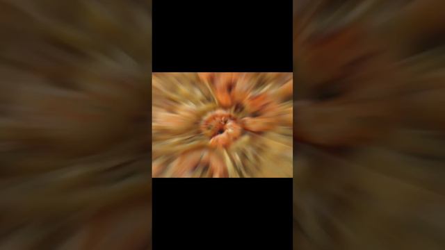 только агро:_) и простите если слово вонениска не так написано #в_р_е_к_о_м_е_н_д_а_ц_и_и #gachalif смотреть онлайн